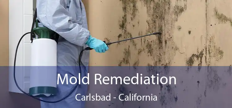 Mold Remediation Carlsbad - California