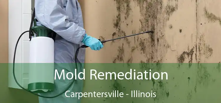 Mold Remediation Carpentersville - Illinois