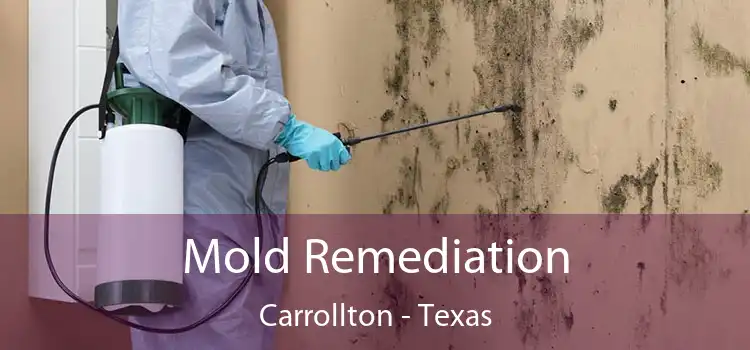 Mold Remediation Carrollton - Texas