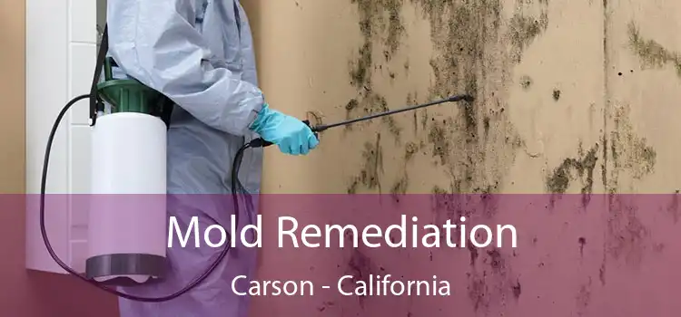 Mold Remediation Carson - California