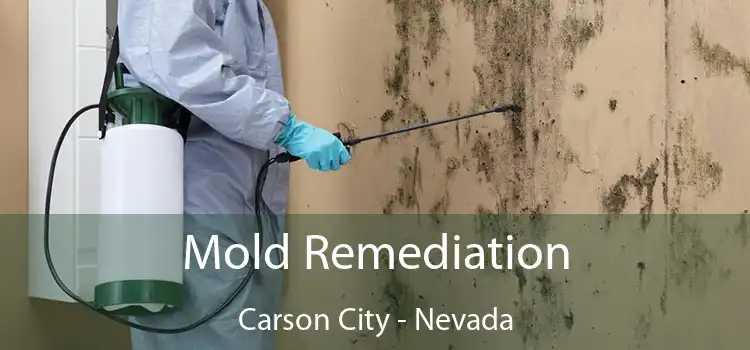 Mold Remediation Carson City - Nevada