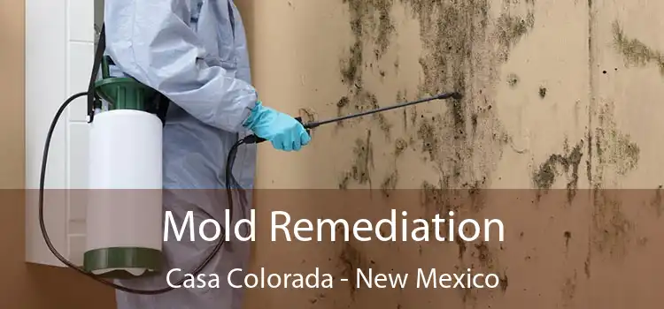 Mold Remediation Casa Colorada - New Mexico