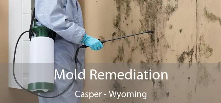 Mold Remediation Casper - Wyoming