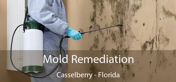 Mold Remediation Casselberry - Florida