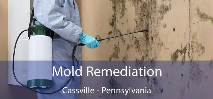 Mold Remediation Cassville - Pennsylvania