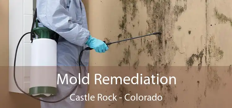 Mold Remediation Castle Rock - Colorado