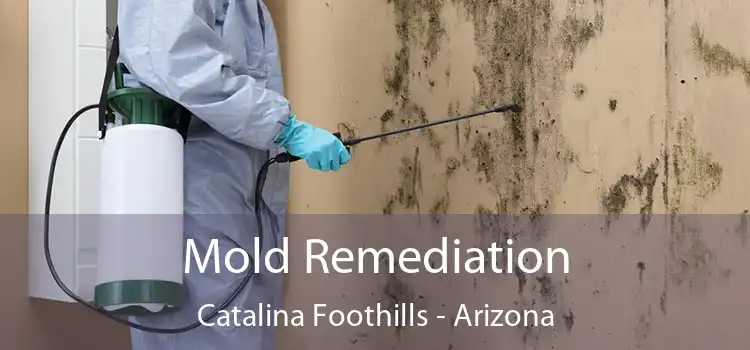 Mold Remediation Catalina Foothills - Arizona