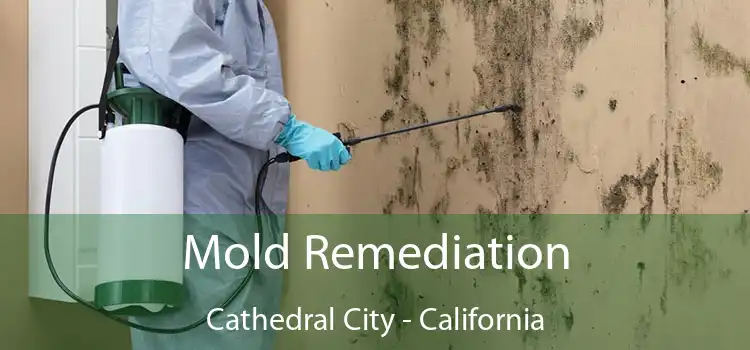 Mold Remediation Cathedral City - California