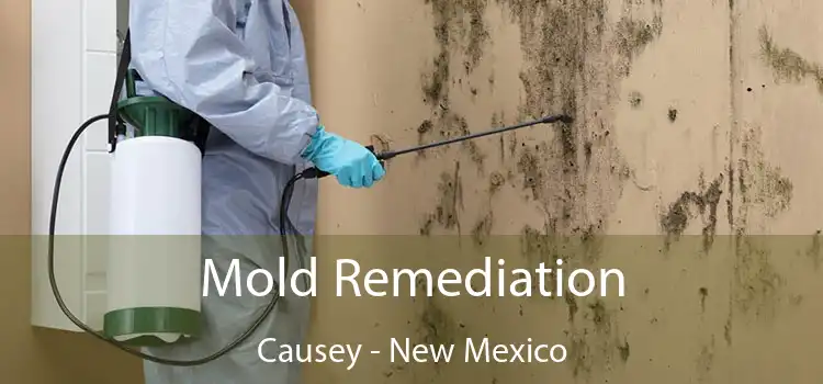 Mold Remediation Causey - New Mexico