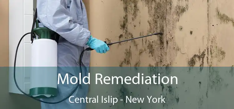 Mold Remediation Central Islip - New York