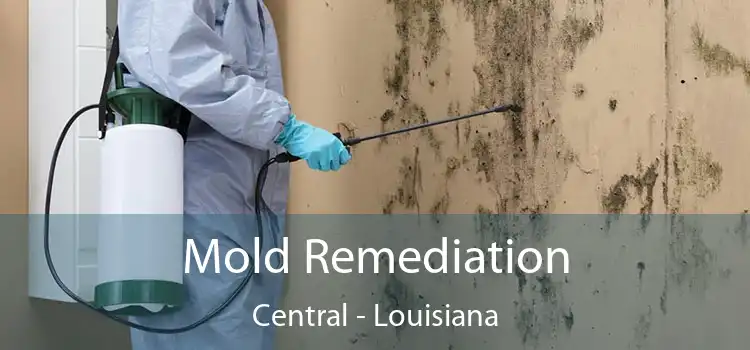 Mold Remediation Central - Louisiana