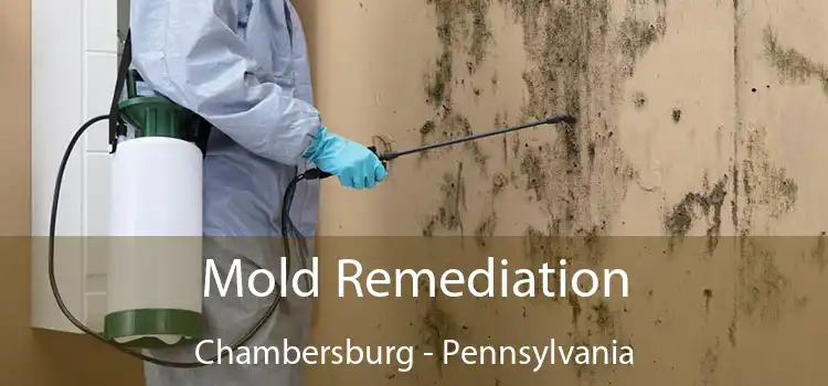 Mold Remediation Chambersburg - Pennsylvania