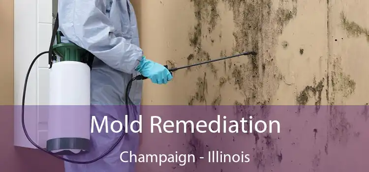 Mold Remediation Champaign - Illinois