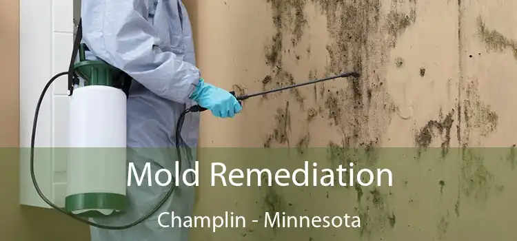 Mold Remediation Champlin - Minnesota