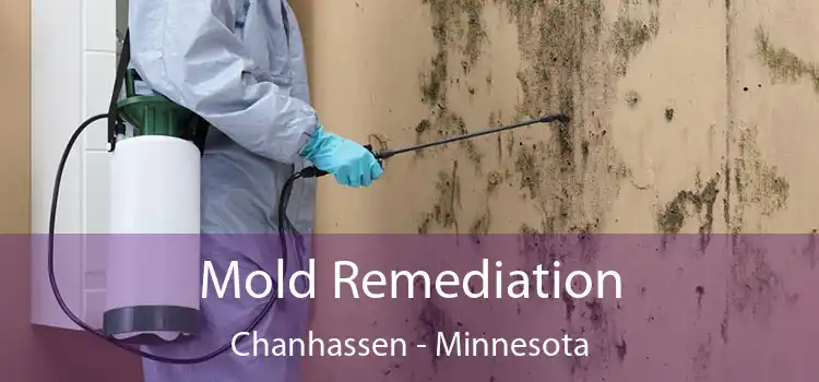 Mold Remediation Chanhassen - Minnesota