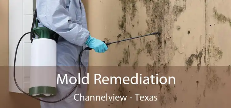 Mold Remediation Channelview - Texas