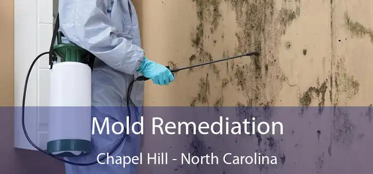 Mold Remediation Chapel Hill - North Carolina