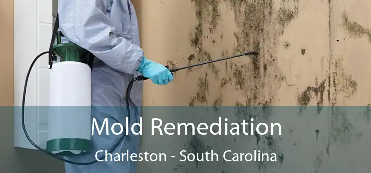 Mold Remediation Charleston - South Carolina