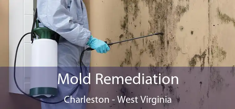 Mold Remediation Charleston - West Virginia