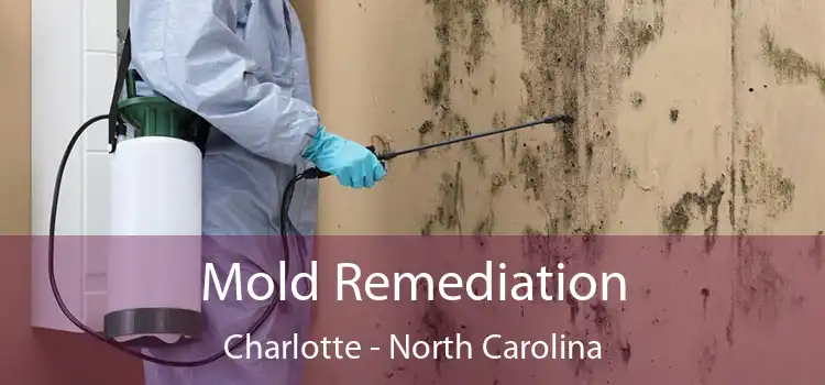 Mold Remediation Charlotte - North Carolina