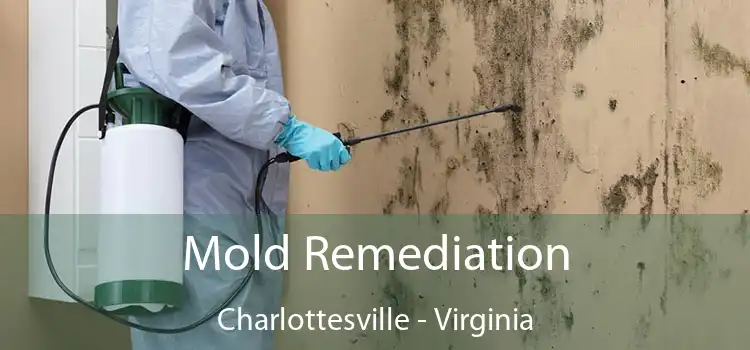 Mold Remediation Charlottesville - Virginia