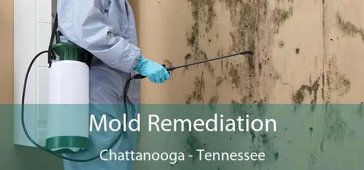 Mold Remediation Chattanooga - Tennessee