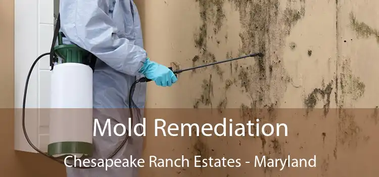 Mold Remediation Chesapeake Ranch Estates - Maryland