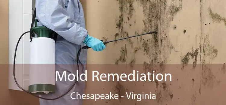 Mold Remediation Chesapeake - Virginia