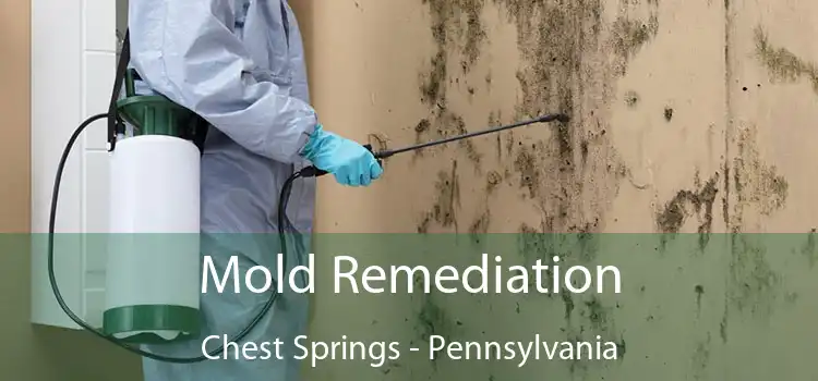 Mold Remediation Chest Springs - Pennsylvania