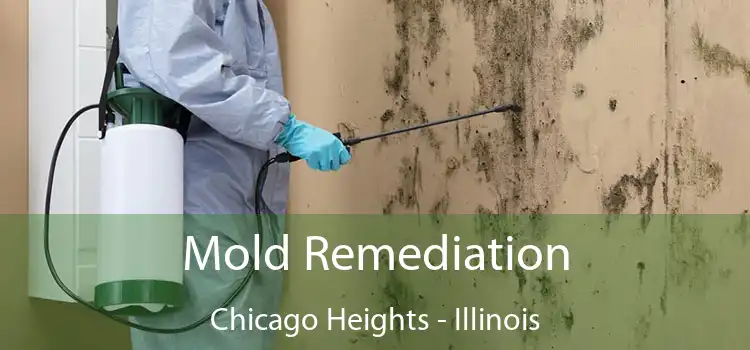 Mold Remediation Chicago Heights - Illinois