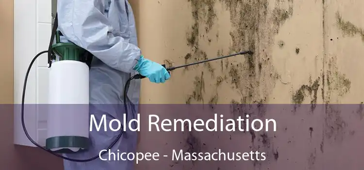 Mold Remediation Chicopee - Massachusetts