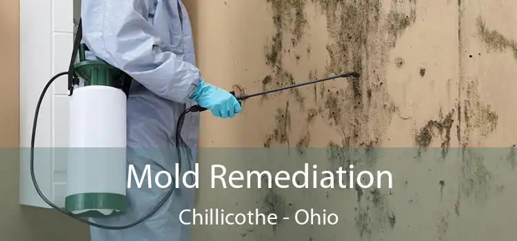 Mold Remediation Chillicothe - Ohio