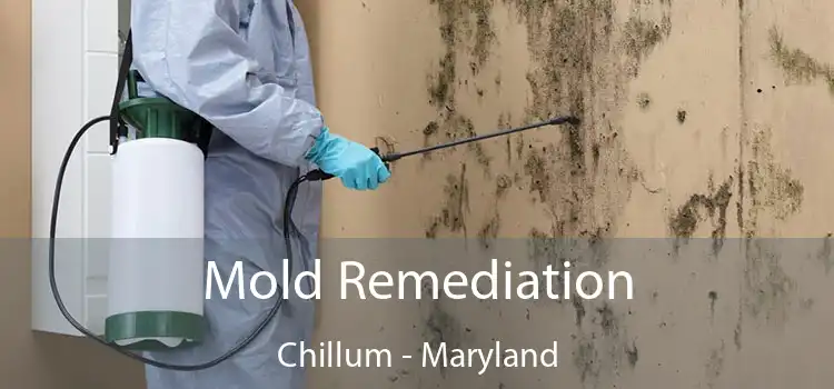 Mold Remediation Chillum - Maryland