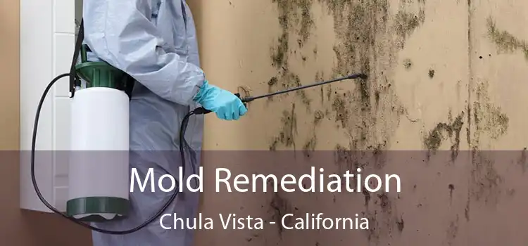 Mold Remediation Chula Vista - California