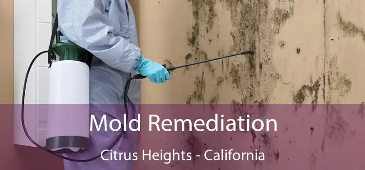 Mold Remediation Citrus Heights - California