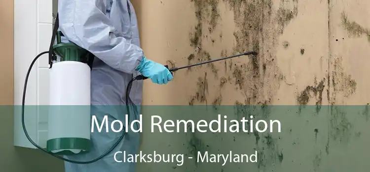 Mold Remediation Clarksburg - Maryland