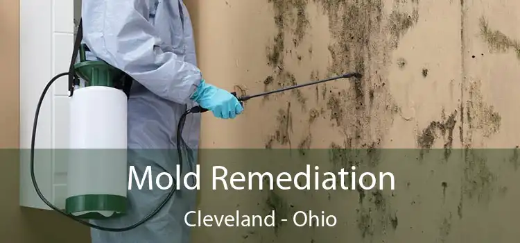 Mold Remediation Cleveland - Ohio