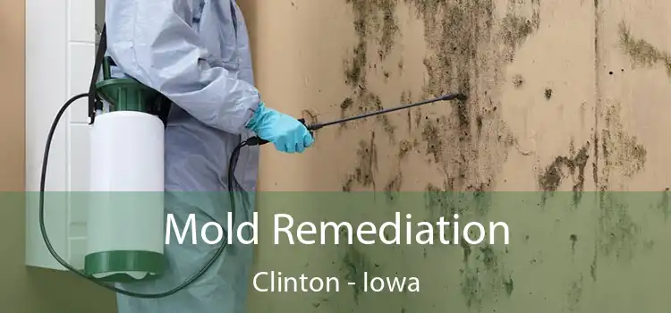 Mold Remediation Clinton - Iowa