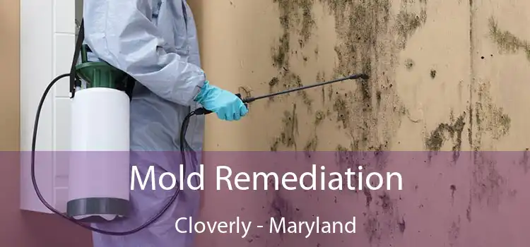 Mold Remediation Cloverly - Maryland