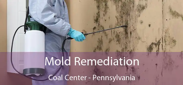 Mold Remediation Coal Center - Pennsylvania