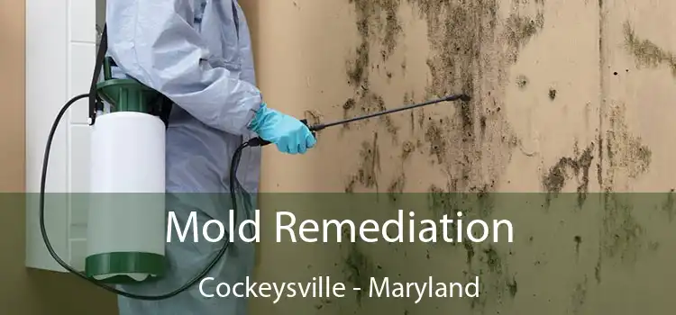 Mold Remediation Cockeysville - Maryland