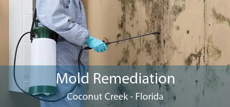 Mold Remediation Coconut Creek - Florida