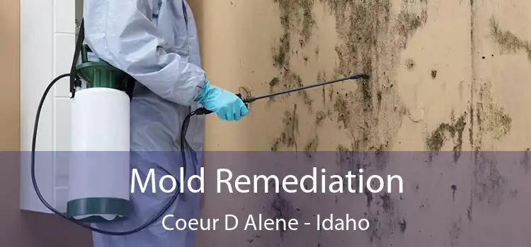 Mold Remediation Coeur D Alene - Idaho