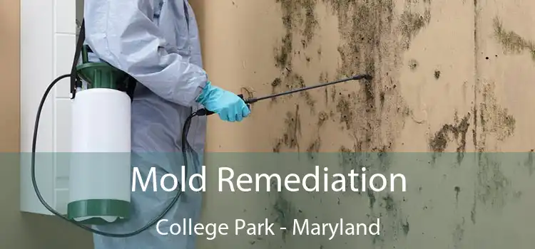 Mold Remediation College Park - Maryland