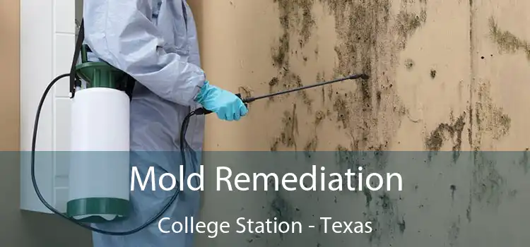 Mold Remediation College Station - Texas