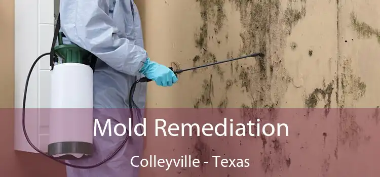 Mold Remediation Colleyville - Texas