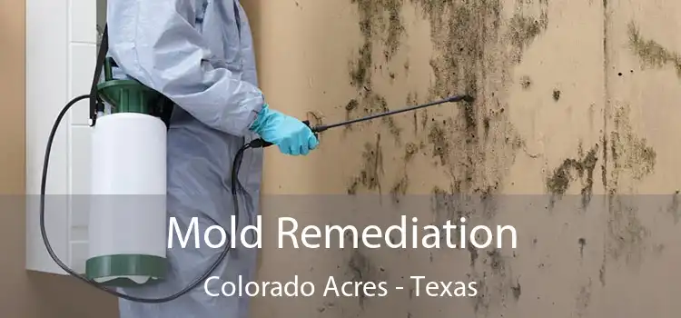 Mold Remediation Colorado Acres - Texas