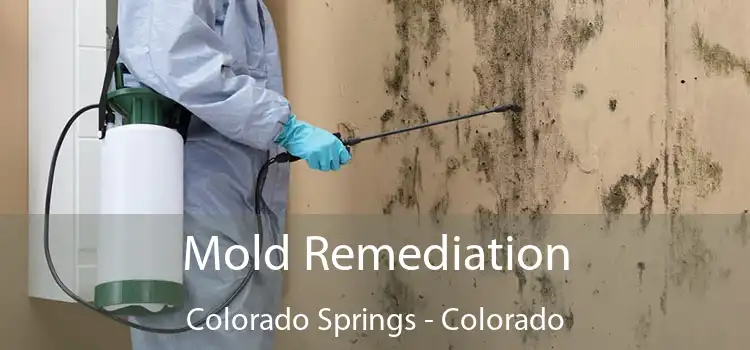 Mold Remediation Colorado Springs - Colorado