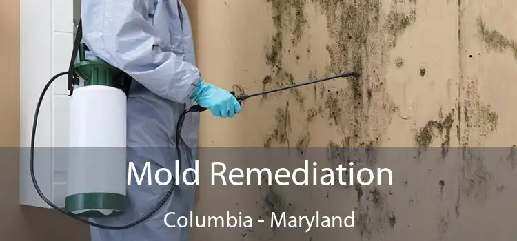 Mold Remediation Columbia - Maryland