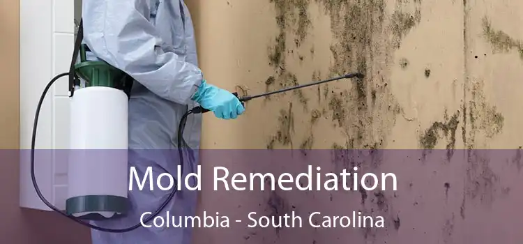 Mold Remediation Columbia - South Carolina